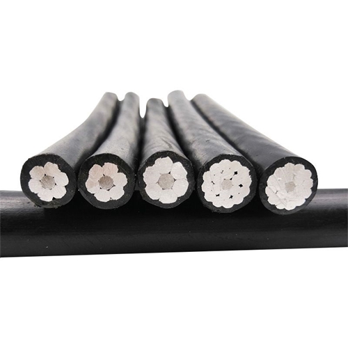 www.backlinkbuilderexpress.com